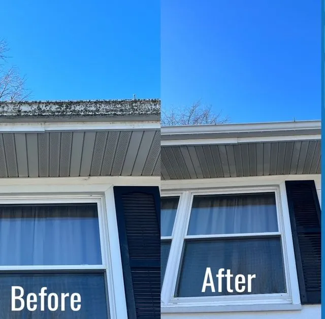 Roof Cleaning project by Badger Mobile Wash in Wisconsin