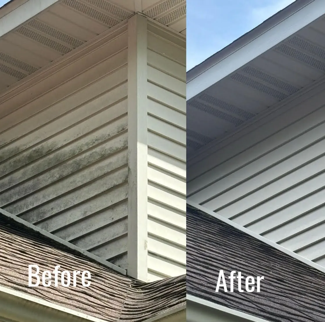 Gutter Cleaning project by Badger Mobile Wash in Wisconsin