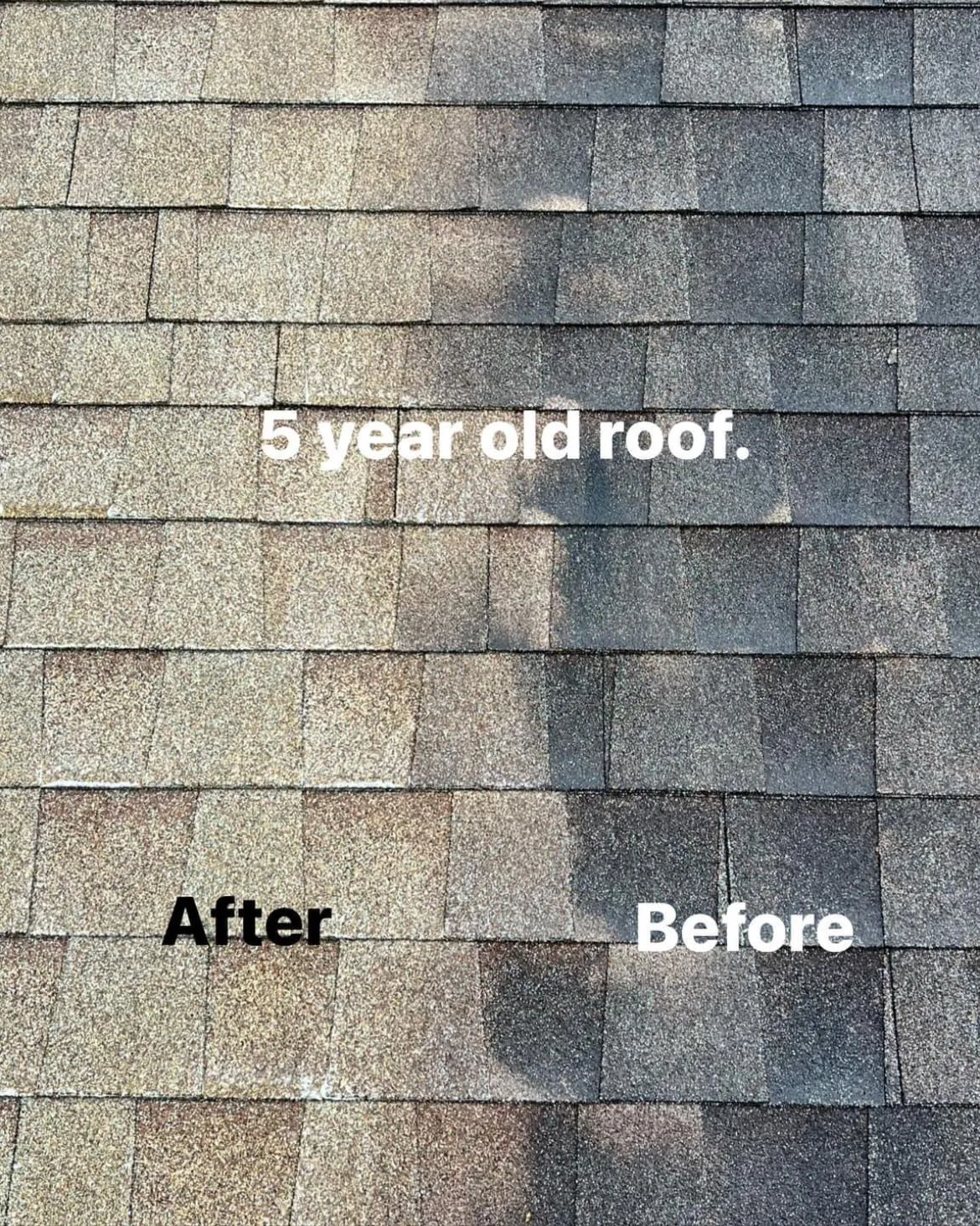 Roof Cleaning project by Badger Mobile Wash in Wisconsin
