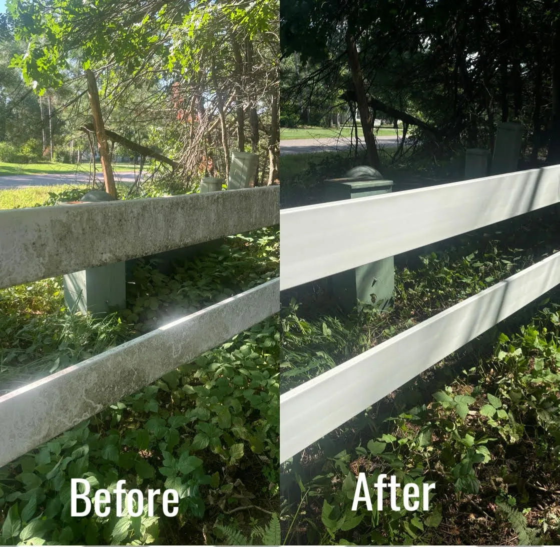 Fence Before&After