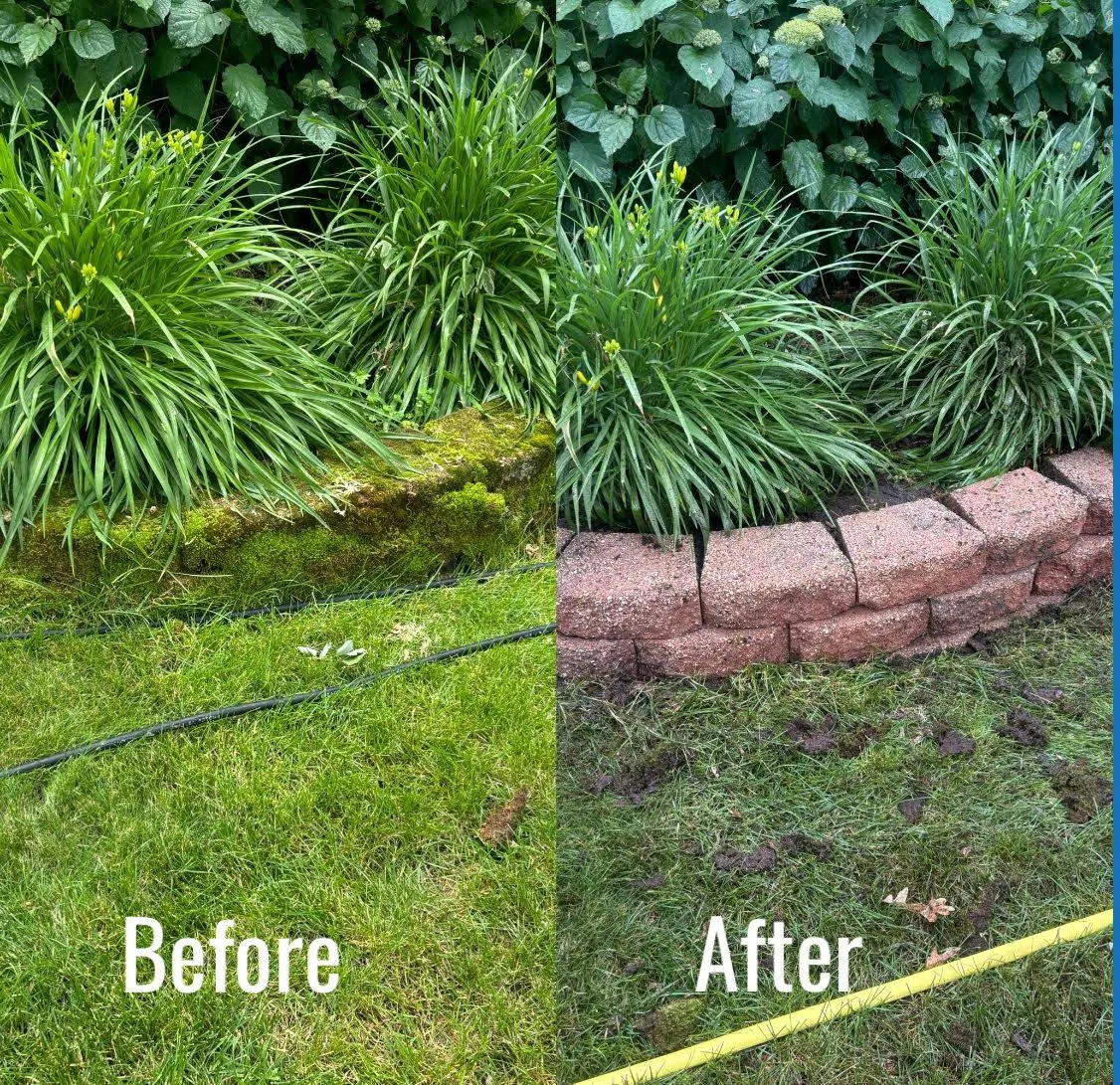 Landscape Before&After