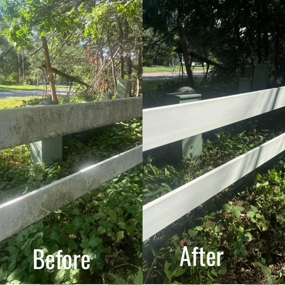 Fence Before&After