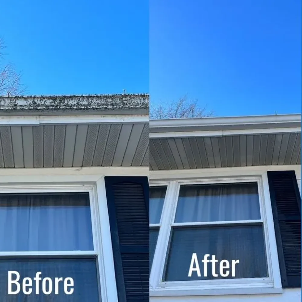 Gutter Before&After 2