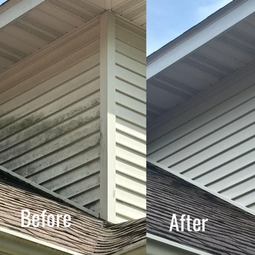 House Siding Before&After