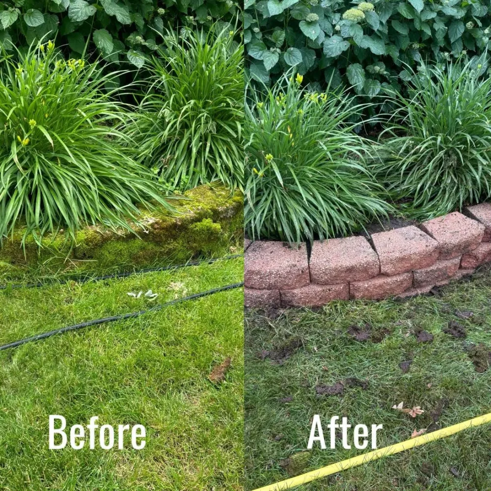 Landscape Before&After