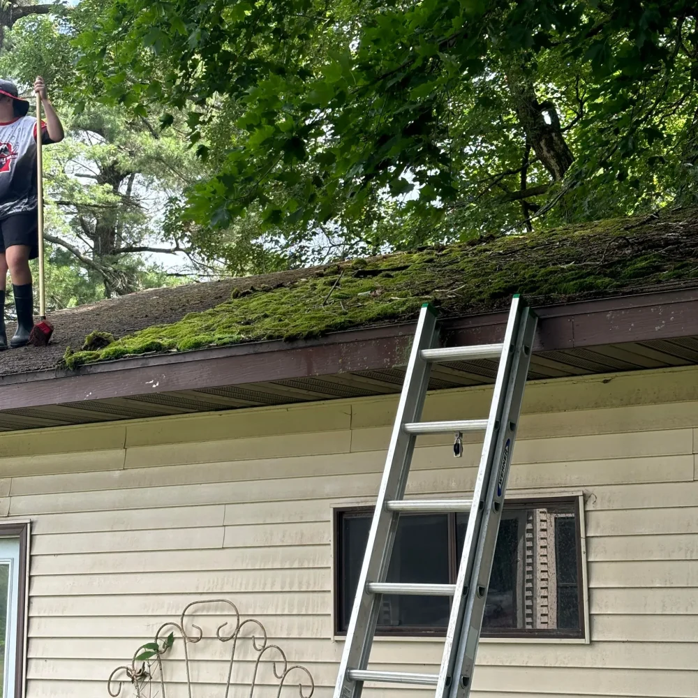 Residential Roof
